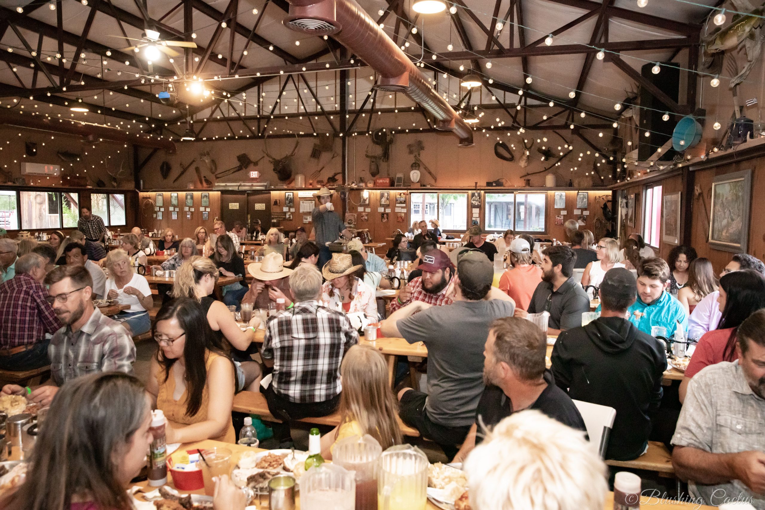 Large group of people dining in a rustic, decorated hall with string lights.