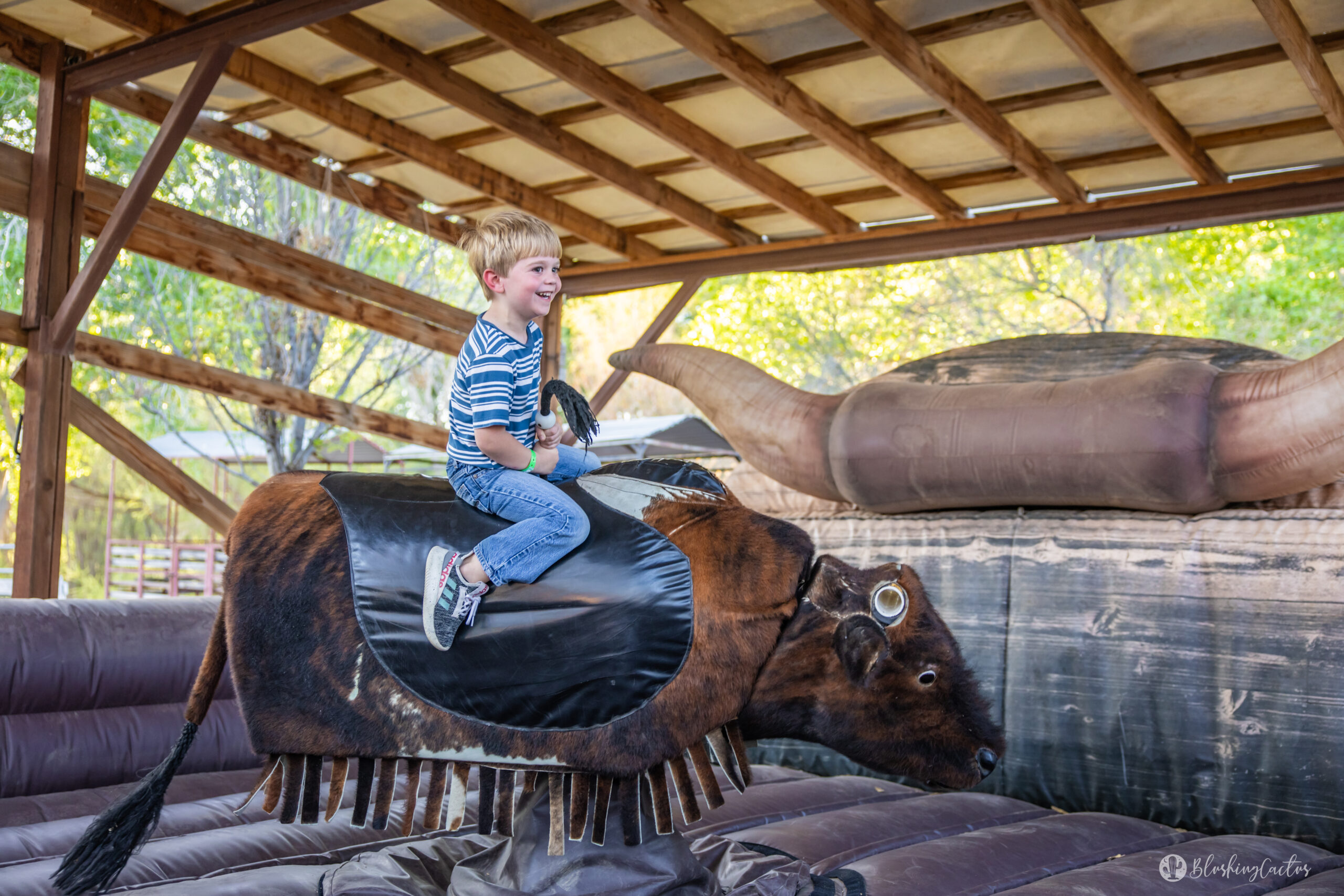 Blazin'M Ranch Mechanical Bull