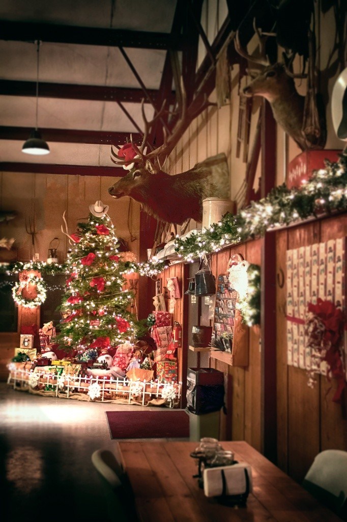 Decorated Christmas tree with gifts, wall-mounted deer heads in rustic room.
